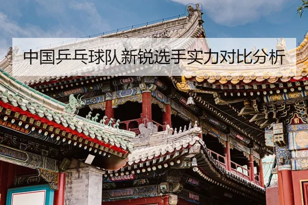 中国乒乓球队新锐选手实力对比分析